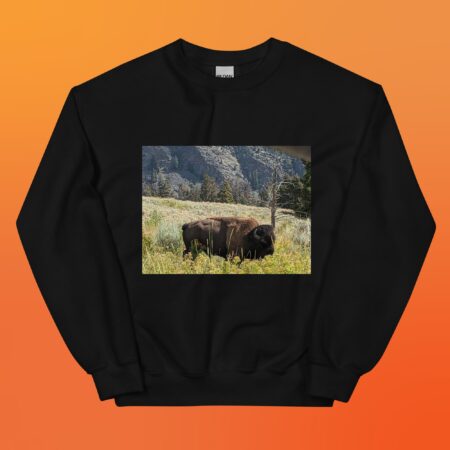 Buffalo Sweatshirt